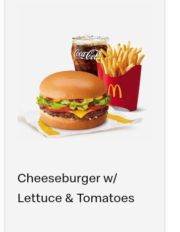 CHEESEBURGER WITH LETTUCE & TOMATOES CHEESEBURGER WITH LETTUCE & TOMATOES