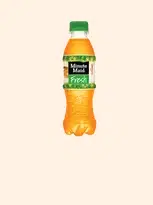 MINUTE MAID 295 ML MINUTE MAID 295 ml